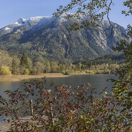 Schlosstaverne * ルンツ・アム・ゼー